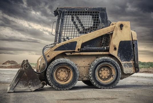 Bobcat